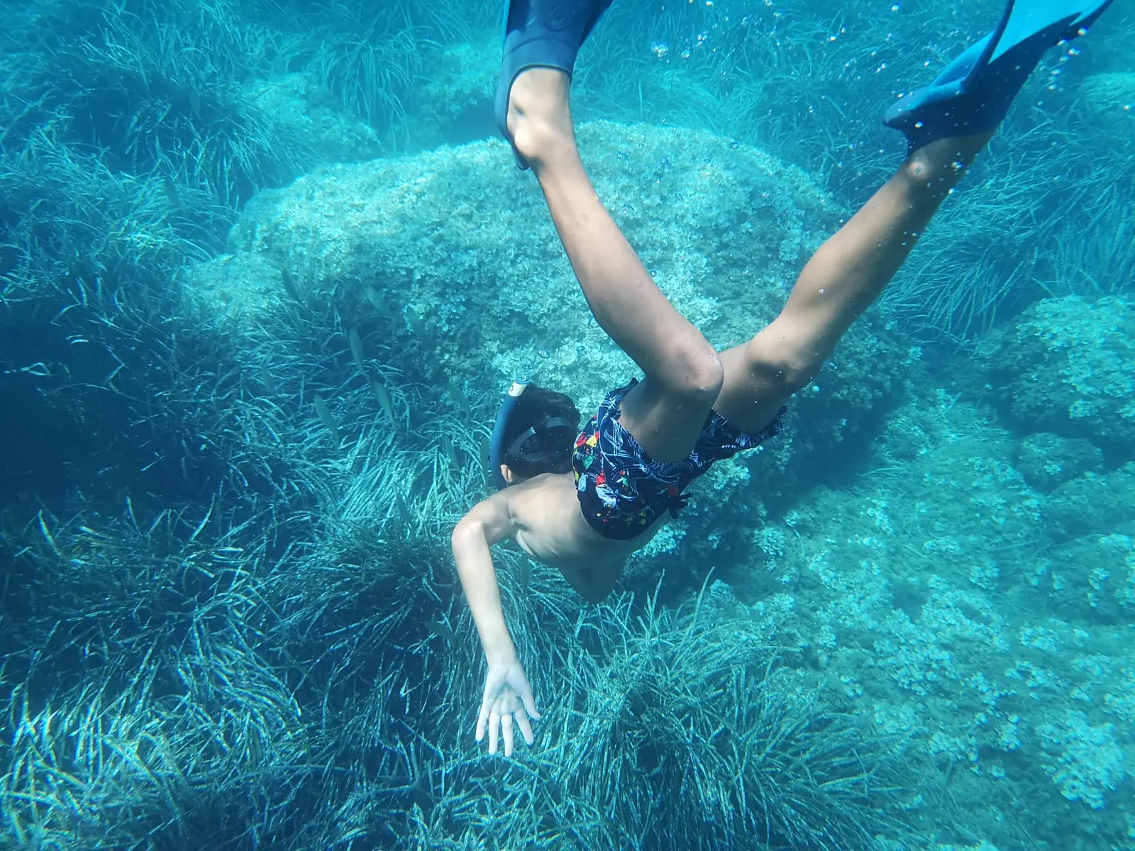 Snorkelling over the seagrass in clear water